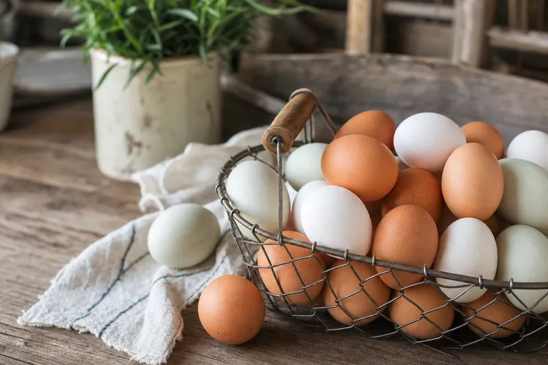 Basket of fresh brown, white, and blue-tinted duck eggs